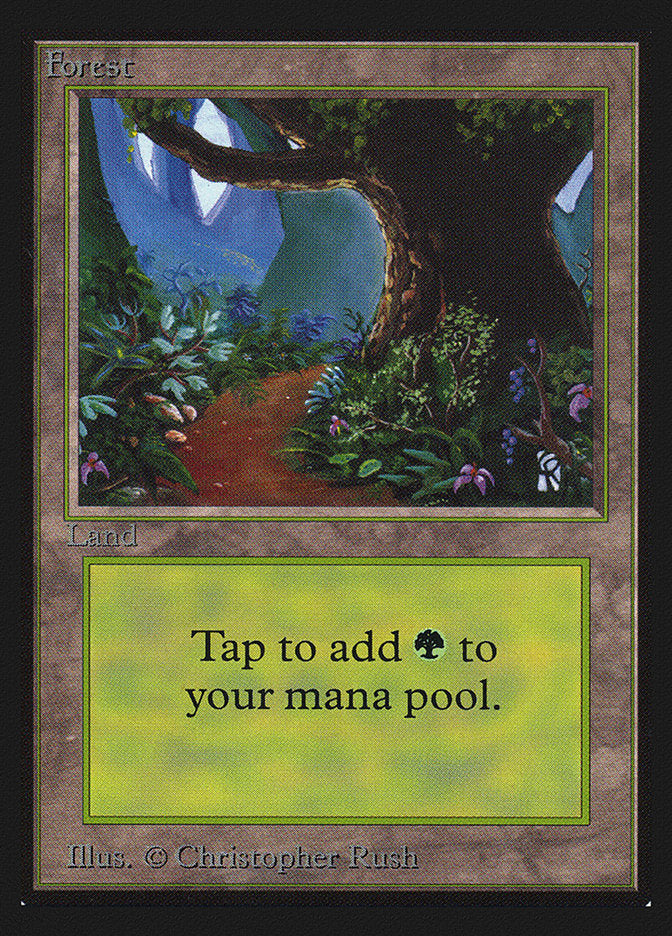 Forest (Flower Path) [International Collectors' Edition] | Gear Gaming Bentonville