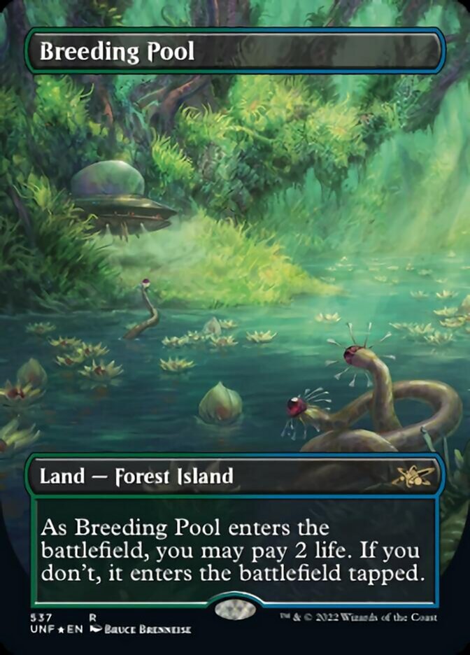 Breeding Pool (Borderless) (Galaxy Foil) [Unfinity] | Gear Gaming Bentonville