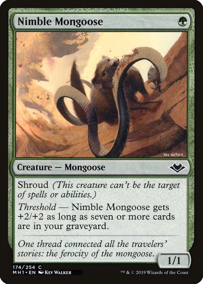 Nimble Mongoose [Modern Horizons] | Gear Gaming Bentonville