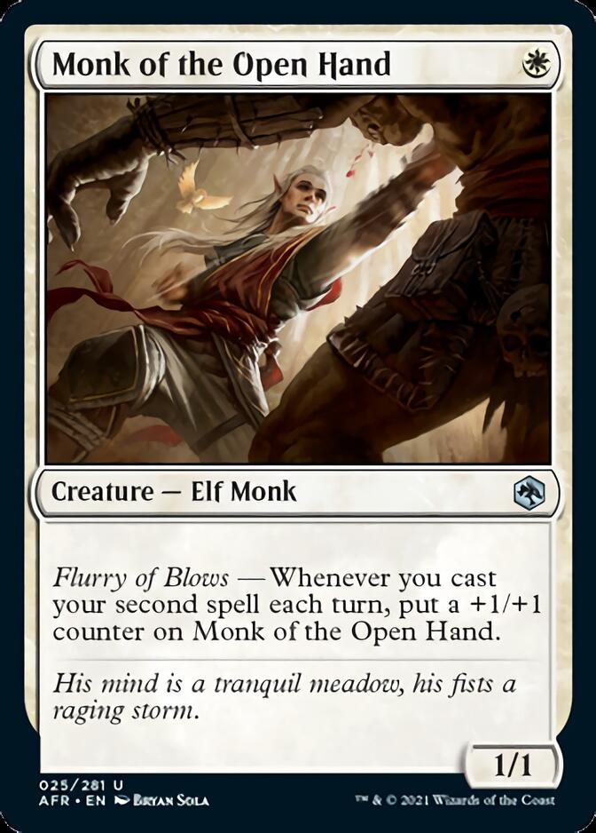 Monk of the Open Hand [Dungeons & Dragons: Adventures in the Forgotten Realms] | Gear Gaming Bentonville