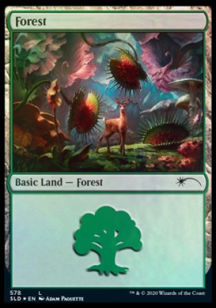 Forest (Predatory) (578) [Secret Lair Drop Promos] | Gear Gaming Bentonville