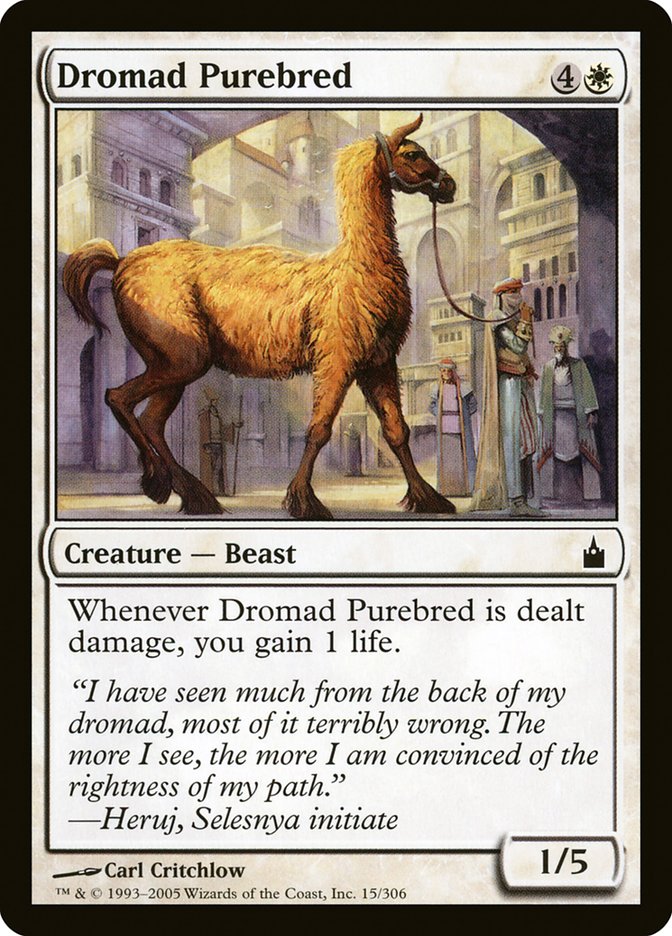 Dromad Purebred [Ravnica: City of Guilds] | Gear Gaming Bentonville