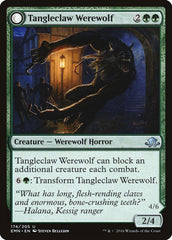 Tangleclaw Werewolf // Fibrous Entangler [Eldritch Moon] | Gear Gaming Bentonville