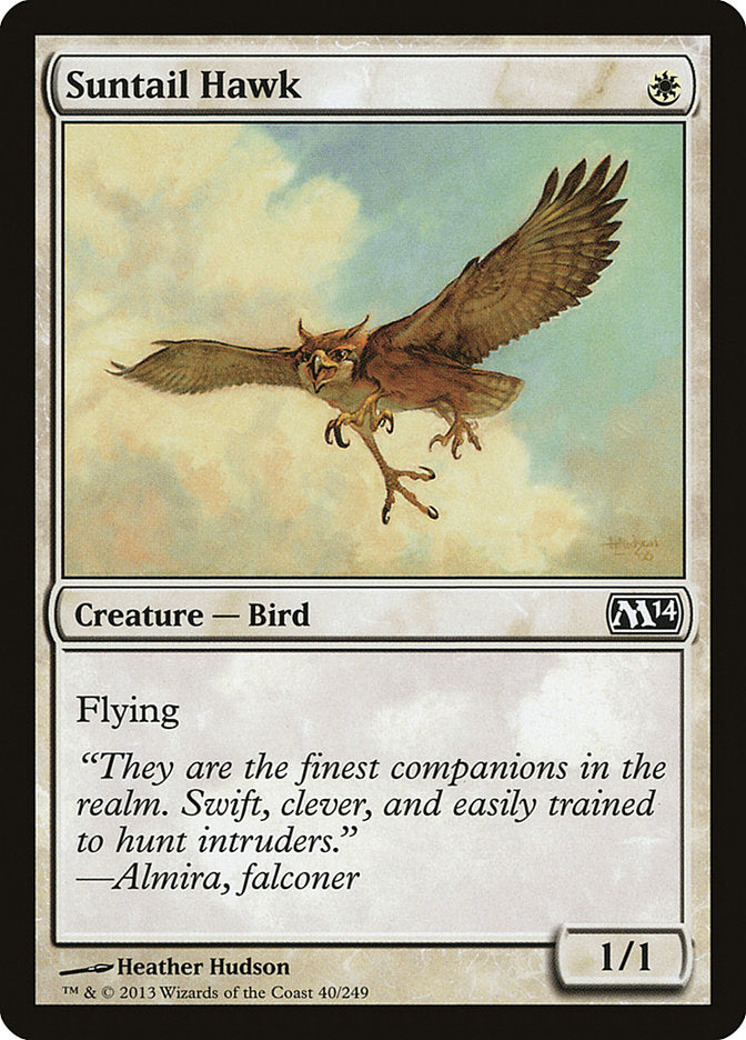 Suntail Hawk [Magic 2014] | Gear Gaming Bentonville
