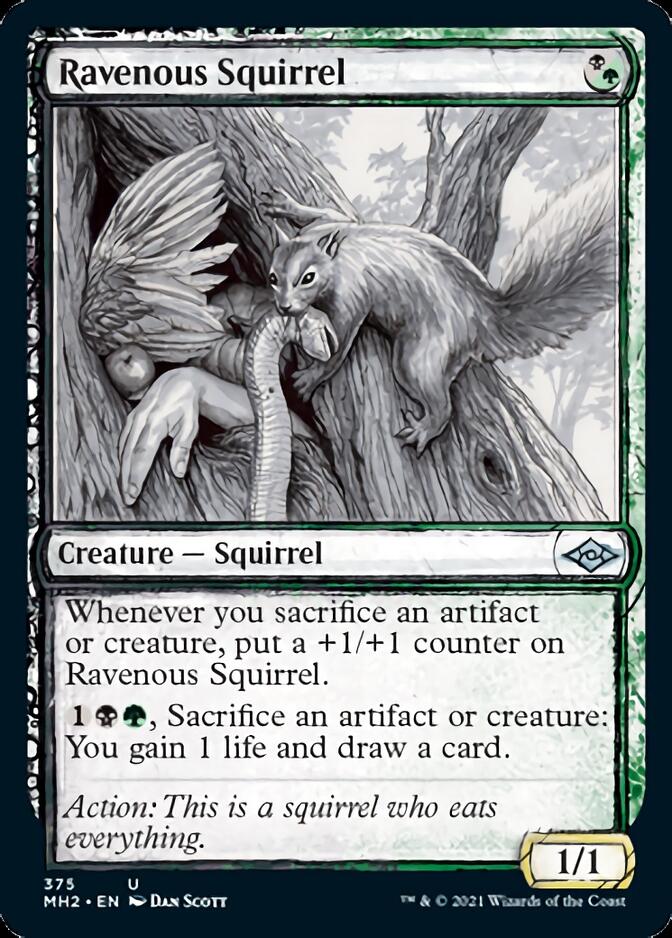 Ravenous Squirrel (Sketch) [Modern Horizons 2] | Gear Gaming Bentonville