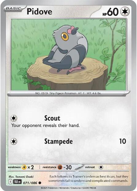 Pidove (071/086) [Scarlet & Violet: Black Bolt] | Gear Gaming Bentonville