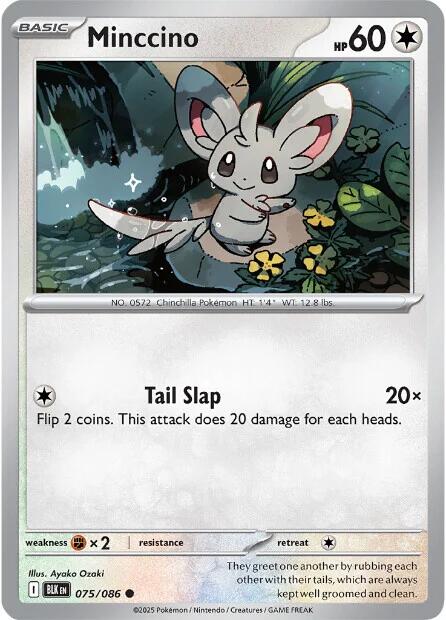 Minccino (075/086) [Scarlet & Violet: Black Bolt] | Gear Gaming Bentonville