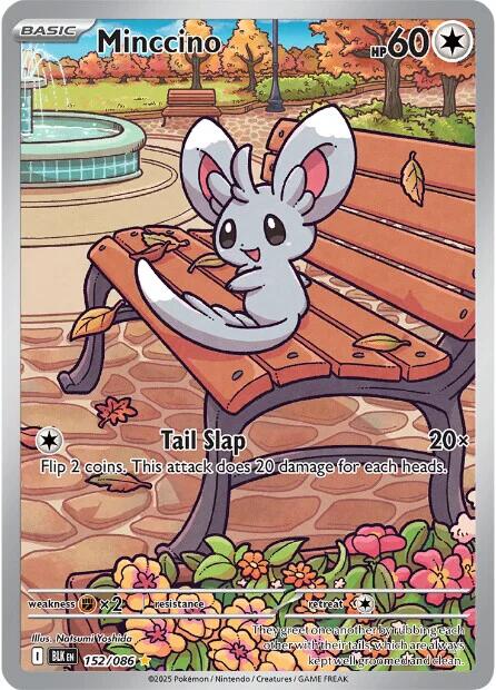 Minccino (152/086) [Scarlet & Violet: Black Bolt] | Gear Gaming Bentonville