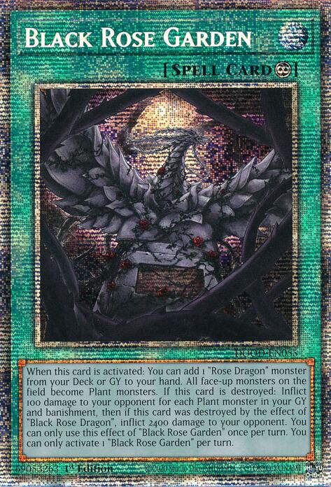 Black Rose Garden (Starlight Rare) [DOOD-EN055] Starlight Rare | Gear Gaming Bentonville