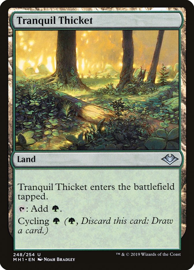 Tranquil Thicket [Modern Horizons] | Gear Gaming Bentonville