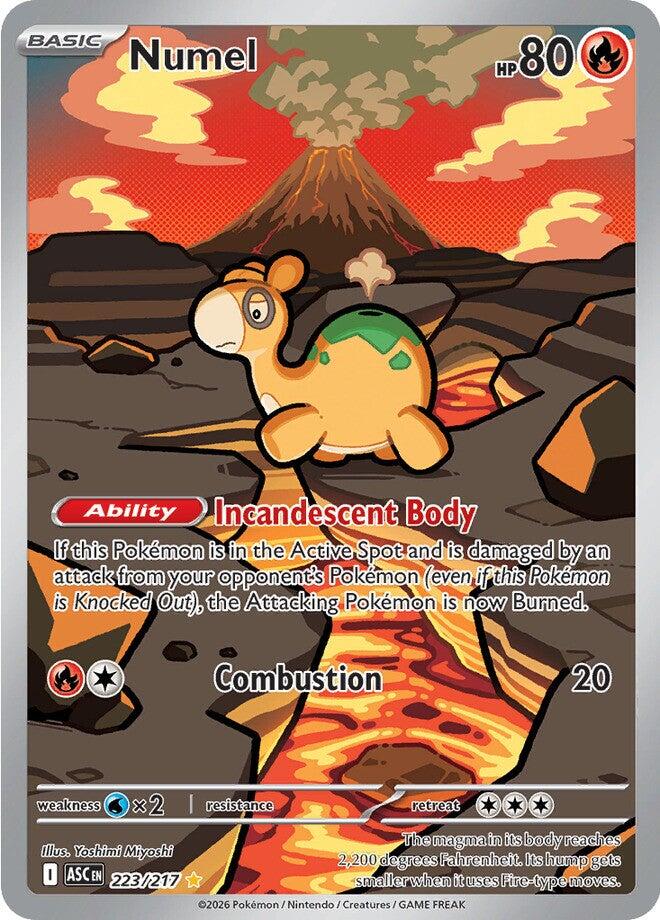 Numel (223/217) [Mega Evolution: Ascended Heroes] | Gear Gaming Bentonville
