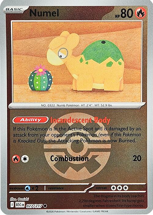 Numel (027/217) (Quick Ball) [Mega Evolution: Ascended Heroes] | Gear Gaming Bentonville
