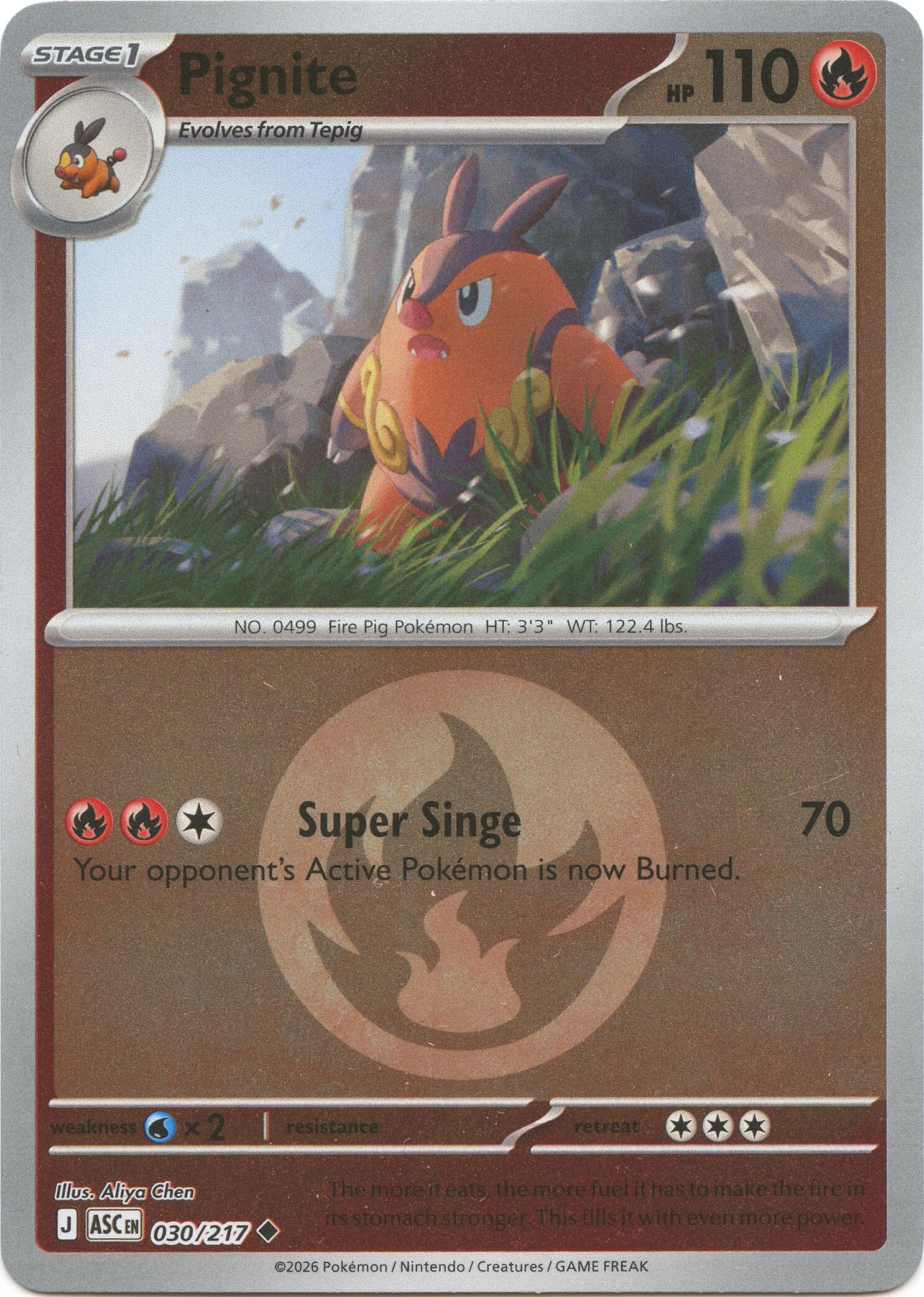 Pignite (030/217) (Energy Symbol Pattern) [Mega Evolution: Ascended Heroes] | Gear Gaming Bentonville