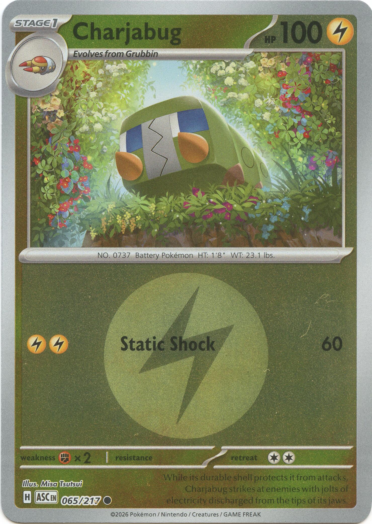 Charjabug (065/217) (Energy Symbol Pattern) [Mega Evolution: Ascended Heroes] | Gear Gaming Bentonville
