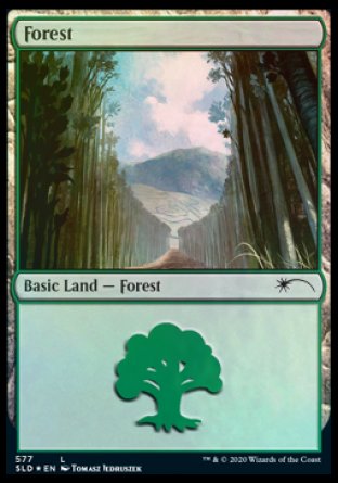 Forest (Walls) (577) [Secret Lair Drop Promos] | Gear Gaming Bentonville