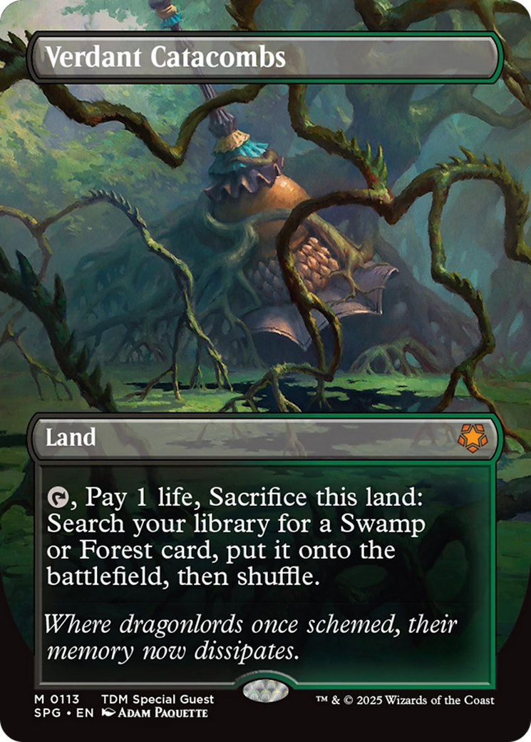 Verdant Catacombs (Borderless) [Tarkir: Dragonstorm Special Guests] | Gear Gaming Bentonville
