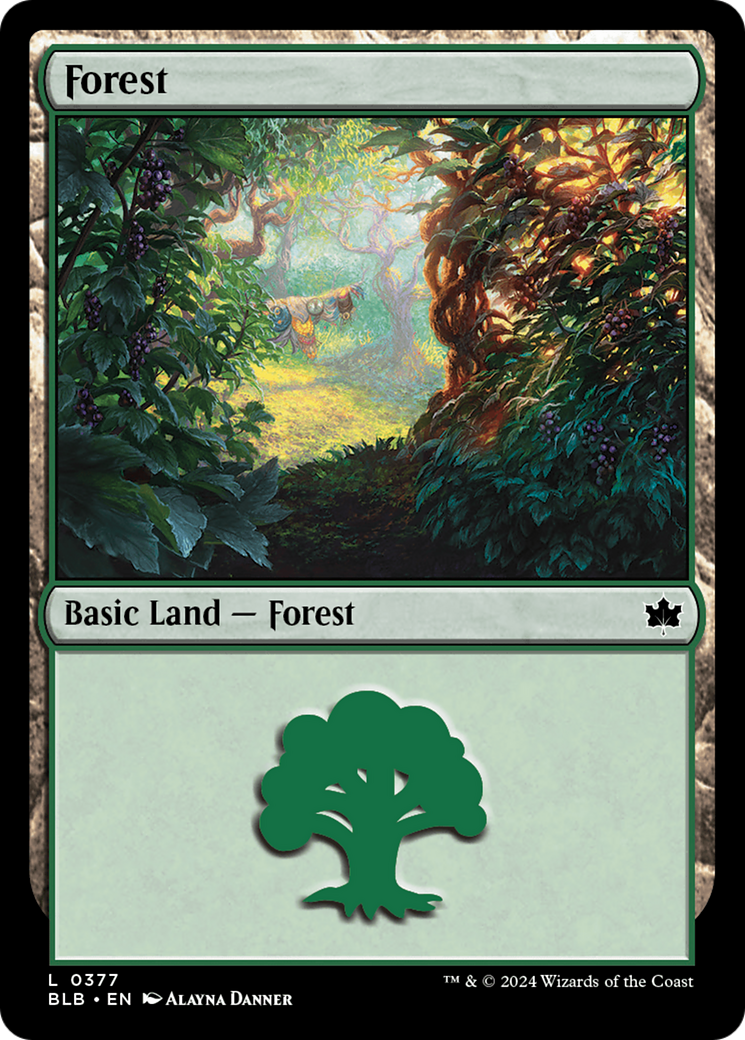 Forest (0377) [Bloomburrow] | Gear Gaming Bentonville