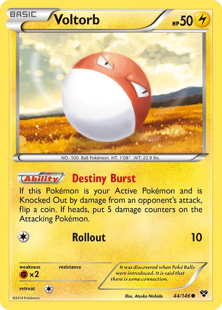 Voltorb (44/146) [XY: Base Set] | Gear Gaming Bentonville
