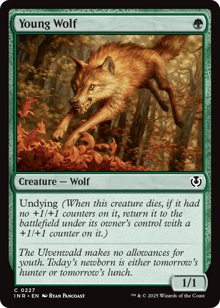 Young Wolf [Innistrad Remastered] | Gear Gaming Bentonville