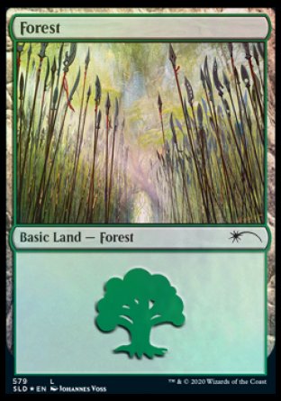 Forest (Elves) (579) [Secret Lair Drop Promos] | Gear Gaming Bentonville