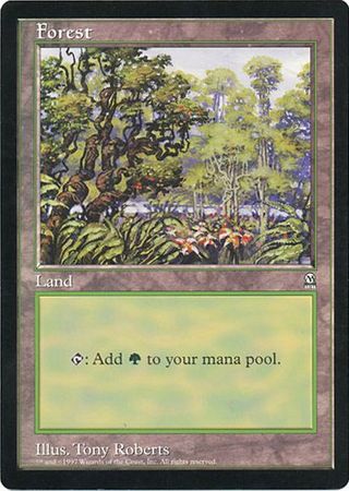 Forest (Oversized) [Oversize Cards] | Gear Gaming Bentonville