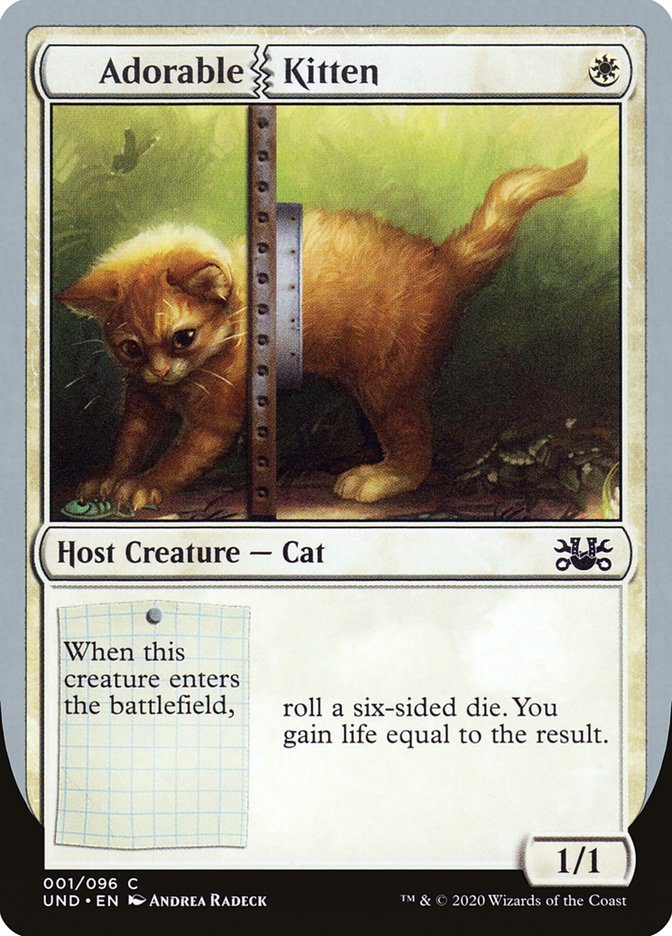 Adorable Kitten [Unsanctioned] | Gear Gaming Bentonville