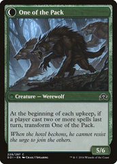 Solitary Hunter // One of the Pack [Shadows over Innistrad] | Gear Gaming Bentonville