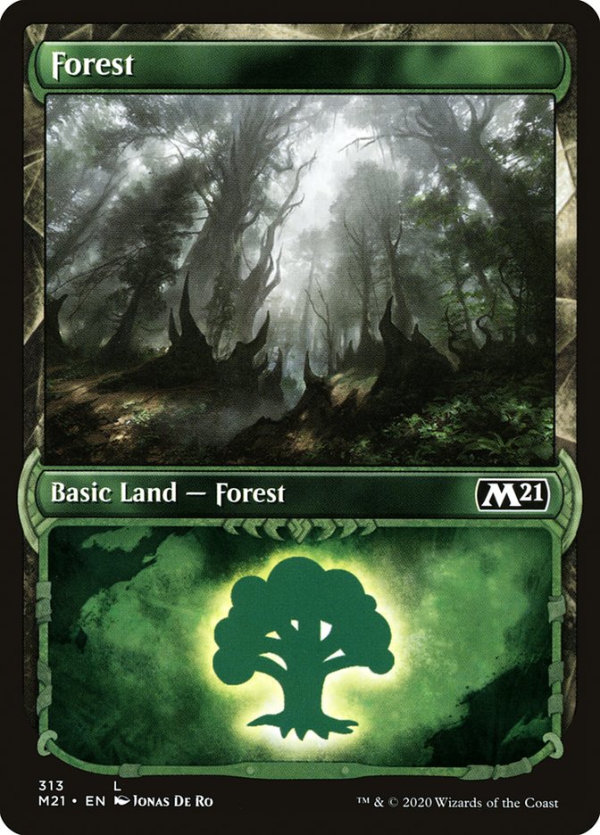 Forest (313) (Showcase) [Core Set 2021] | Gear Gaming Bentonville