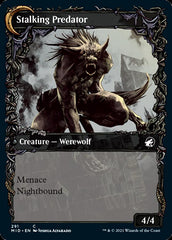 Shady Traveler // Stalking Predator (Showcase Equinox) [Innistrad: Midnight Hunt] | Gear Gaming Bentonville