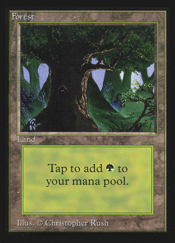 Forest (Eyes in Tree) [International Collectors' Edition] | Gear Gaming Bentonville
