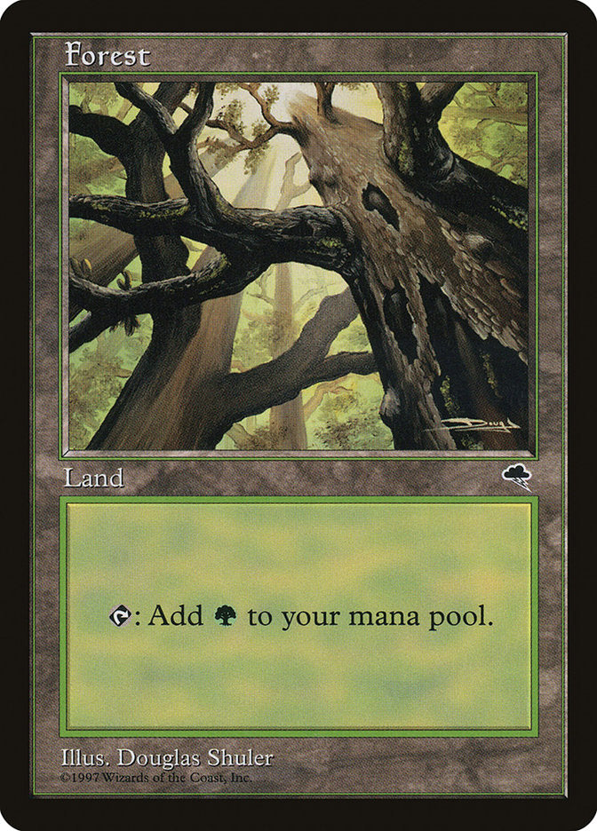 Forest (Looking from Below) [Tempest] | Gear Gaming Bentonville