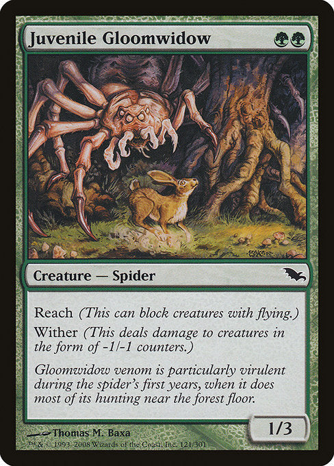 Juvenile Gloomwidow [Shadowmoor] | Gear Gaming Bentonville