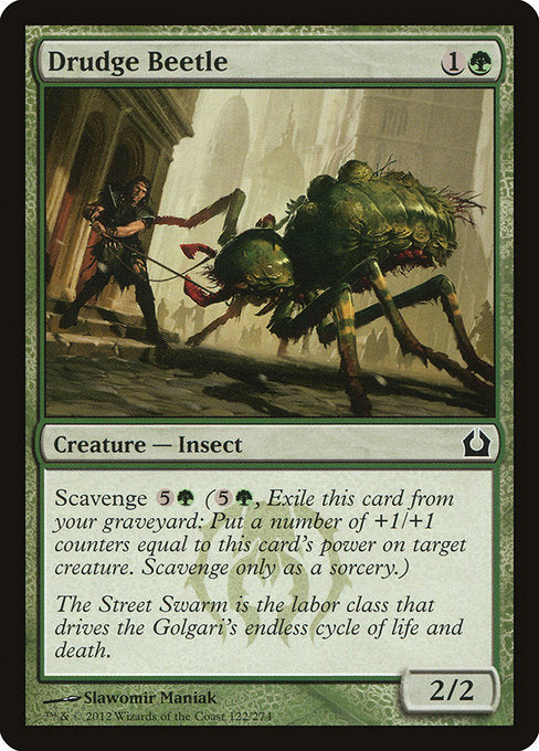 Drudge Beetle [Return to Ravnica] | Gear Gaming Bentonville