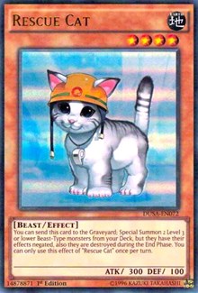 Rescue Cat [Duelist Saga] [DUSA-EN072] | Gear Gaming Bentonville