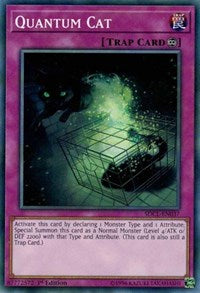 Quantum Cat [Structure Deck: Cyberse Link] [SDCL-EN037] | Gear Gaming Bentonville