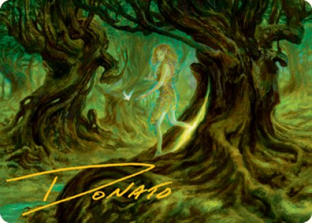 Neverwinter Dryad Art Card (Gold-Stamped Signature) [Dungeons & Dragons: Adventures in the Forgotten Realms Art Series] | Gear Gaming Bentonville