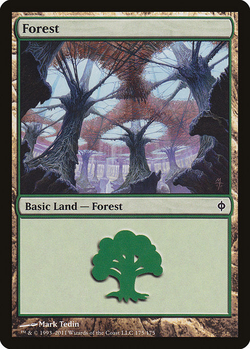 Forest (175) [New Phyrexia] | Gear Gaming Bentonville