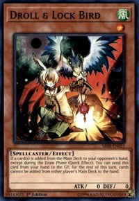 Droll & Lock Bird [Structure Deck: Order of the Spellcasters] [SR08-EN021] | Gear Gaming Bentonville