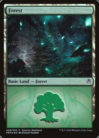 Forest - Golgari (A06) [Launch Party & Release Event Promos] | Gear Gaming Bentonville