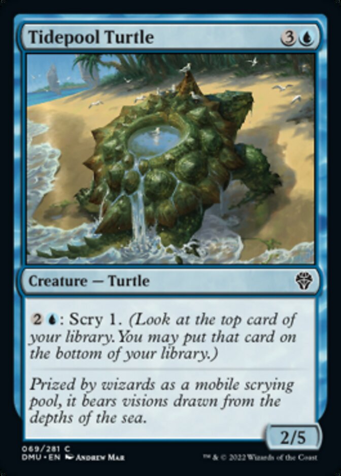 Tidepool Turtle [Dominaria United] | Gear Gaming Bentonville