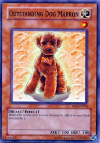 Outstanding Dog Marron [Dark Revelation Volume 1] [DR1-EN224] | Gear Gaming Bentonville
