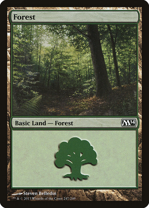 Forest (247) [Magic 2014 (M14)] | Gear Gaming Bentonville