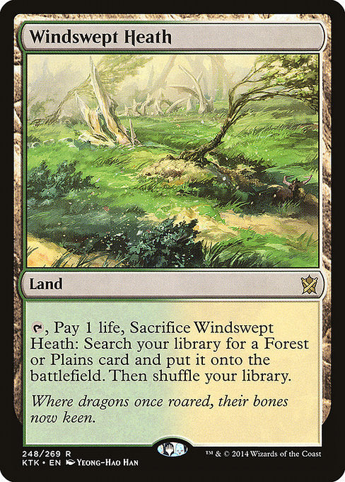 Windswept Heath [Khans of Tarkir] | Gear Gaming Bentonville