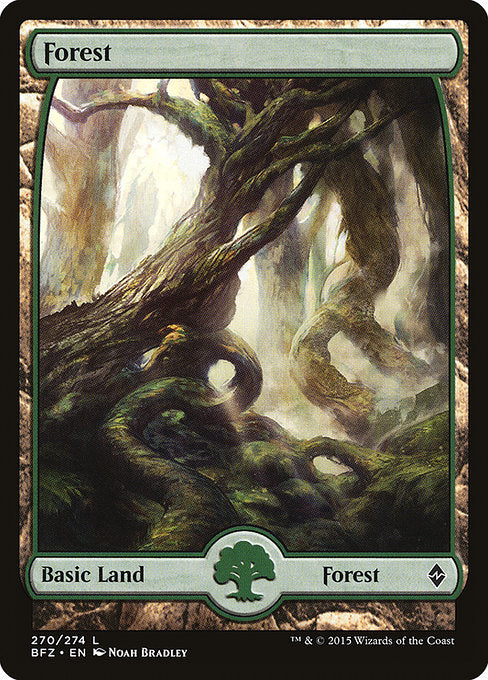 Forest (270) - Full Art [Battle for Zendikar] | Gear Gaming Bentonville