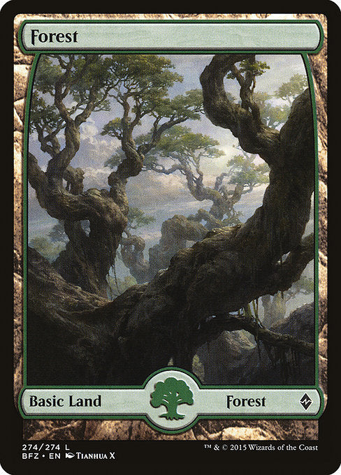 Forest (274) - Full Art [Battle for Zendikar] | Gear Gaming Bentonville