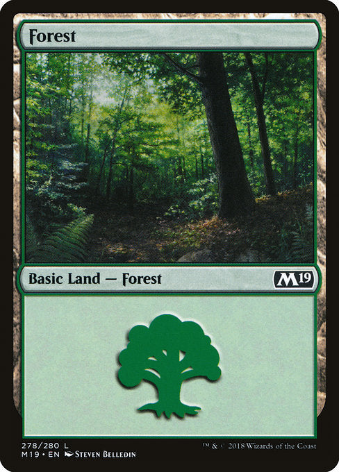 Forest (278) [Core Set 2019] | Gear Gaming Bentonville