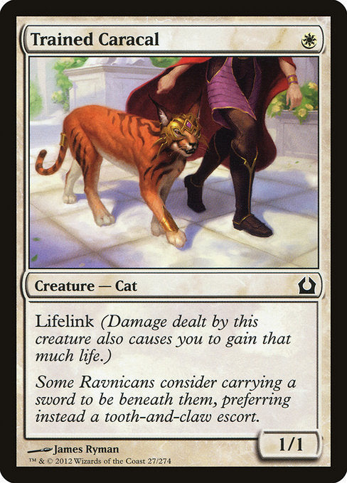 Trained Caracal [Return to Ravnica] | Gear Gaming Bentonville