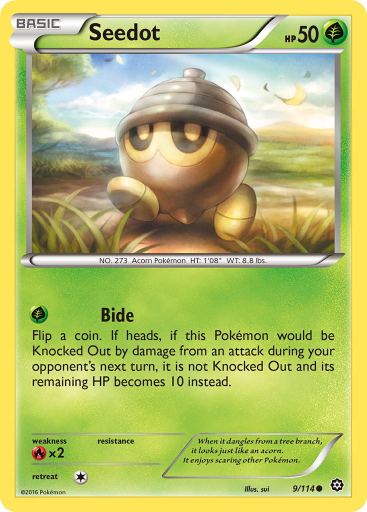 Seedot (9/114) [XY: Steam Siege] | Gear Gaming Bentonville