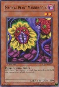 Magical Plant Mandragola [Structure Deck: Spellcaster's Command] [SDSC-EN012] | Gear Gaming Bentonville