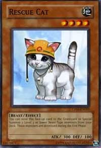 Rescue Cat [Champion Pack 5] [CP05-EN015] | Gear Gaming Bentonville
